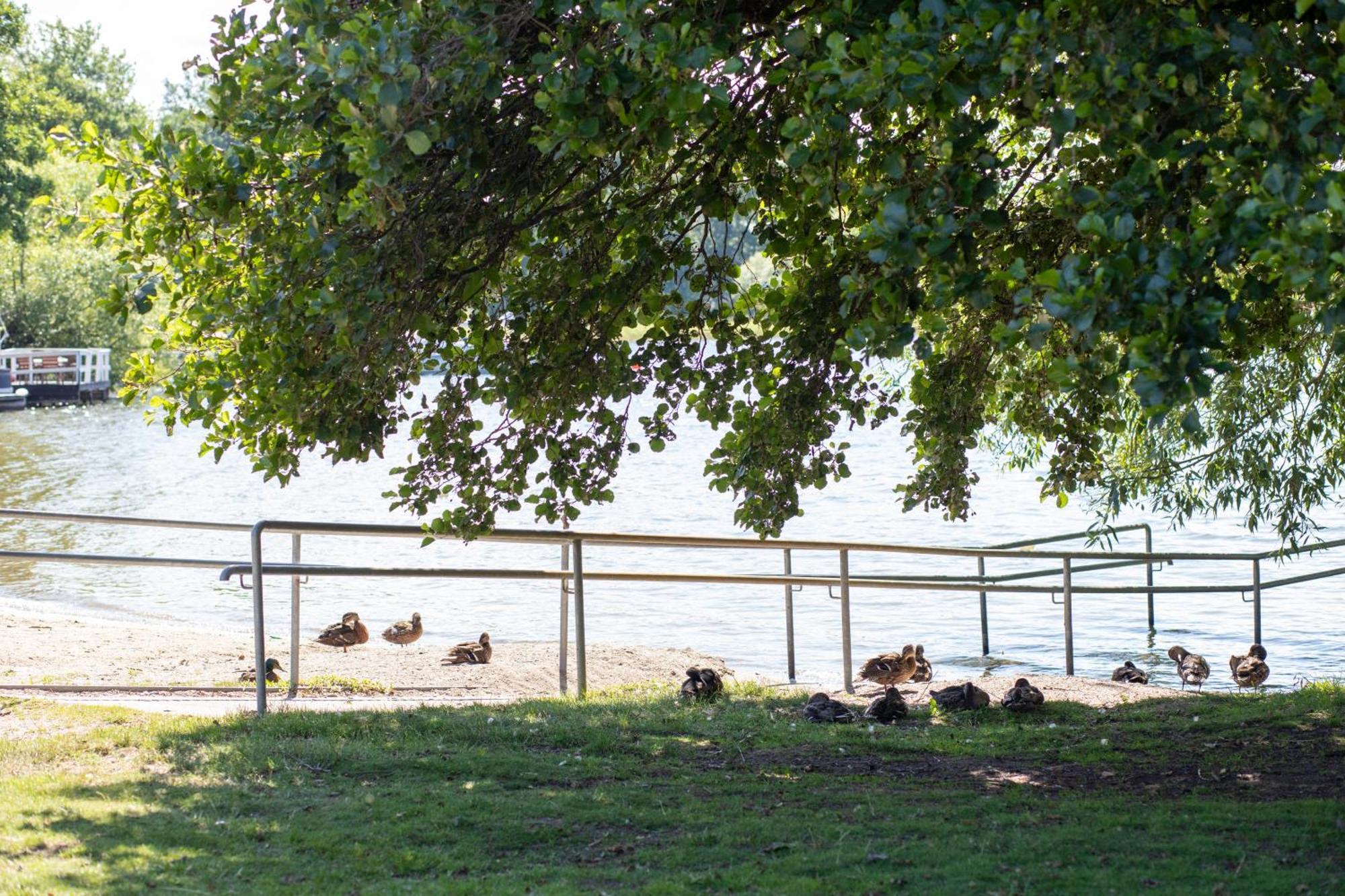 Stockholm Aengby Camping Buitenkant foto
